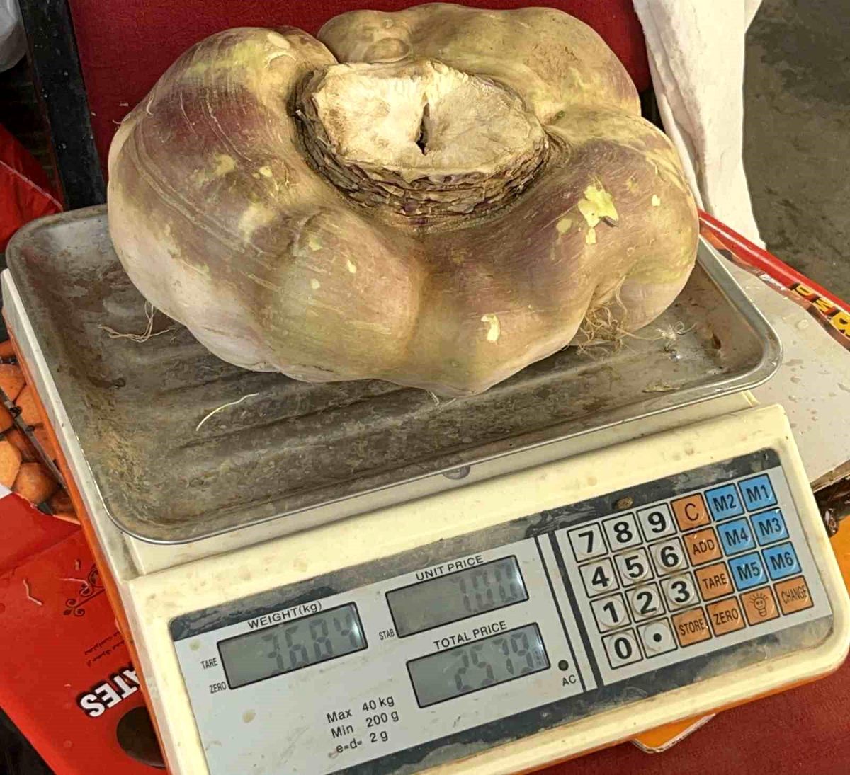 Batman\'da Dev Turp Şaşırttı