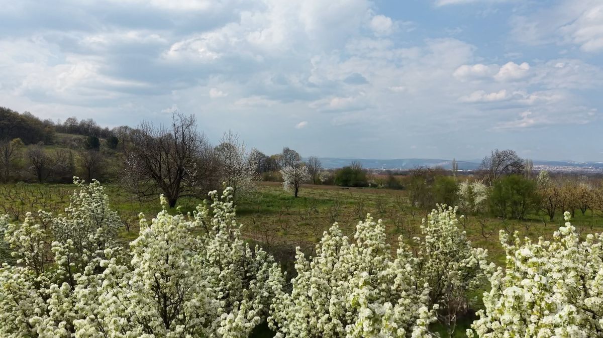 İnegöl\'de İlkbahar Canlanması