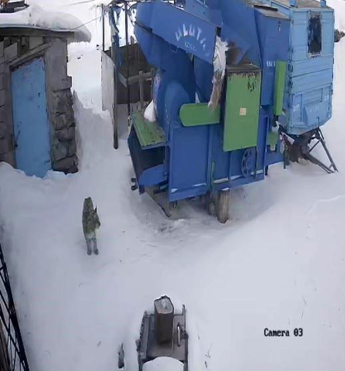 Vavaşak Köye İndi