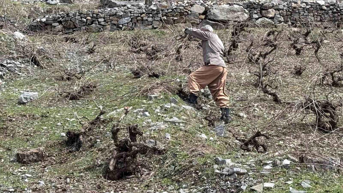 Beytüşşebap\'ta İki Mevsim Bir Arada