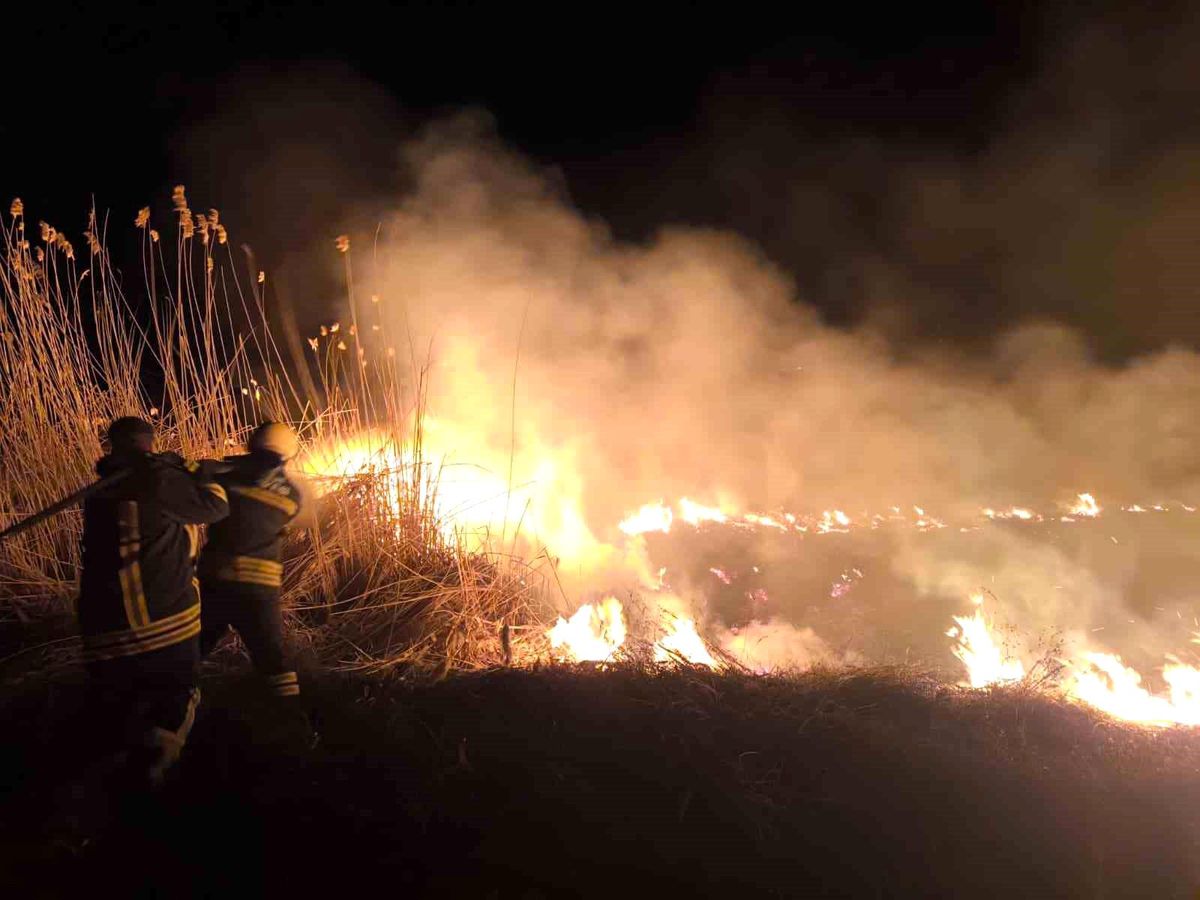 Erzincan\'da anız yangını korkuttu