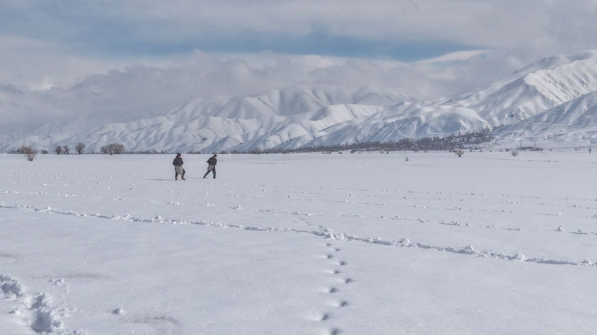 Karla Kapatlı Tarla: Don Ekim Yöntemi
