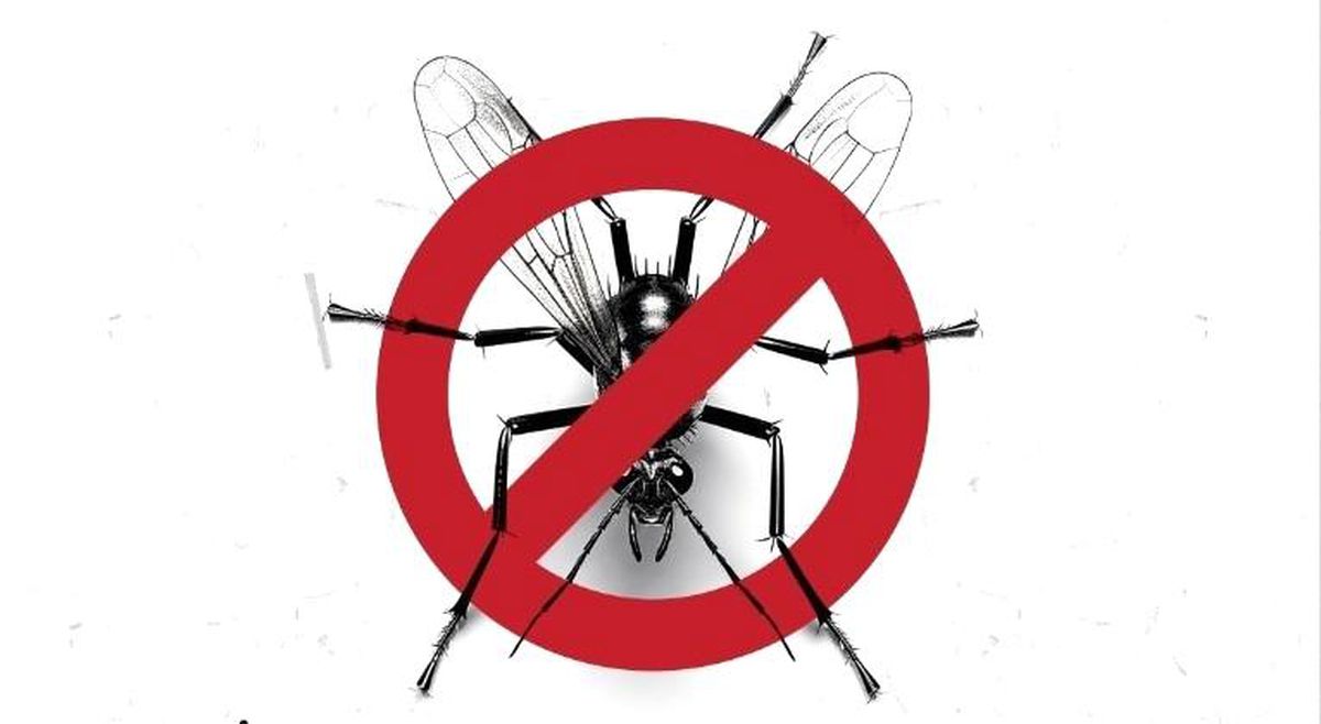 Kuşadası Belediyesi\'nden \'Vektörle mücadele\' açıklaması