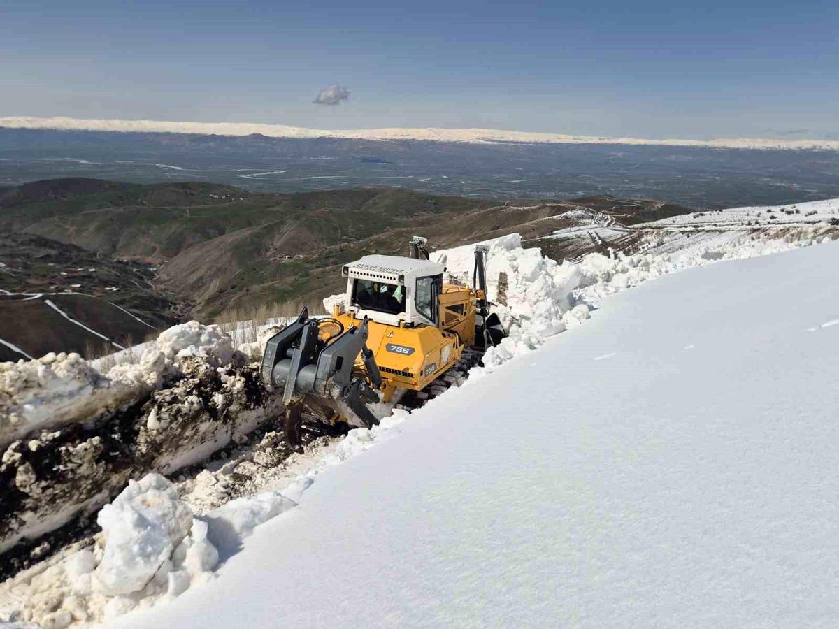 Muş\'ta Köy Yolları Karla Kapandı