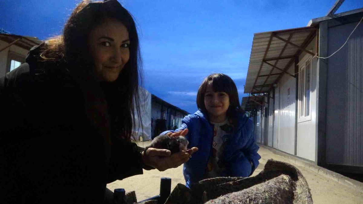 Hatay\'da Kedi ve Yavru Şefkatle Sahiplendirildi