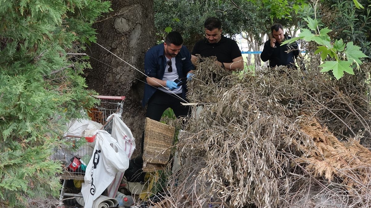 Ağaç altında ölü halde bulundu