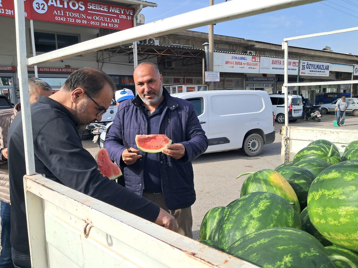 Serik\'te Erkenci Karpuz Hasadı Başladı