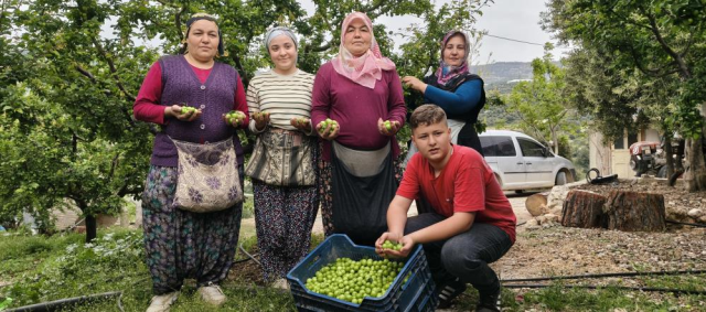 Hasadı başladı, fiyatı 200 TL'ye kadar düştü