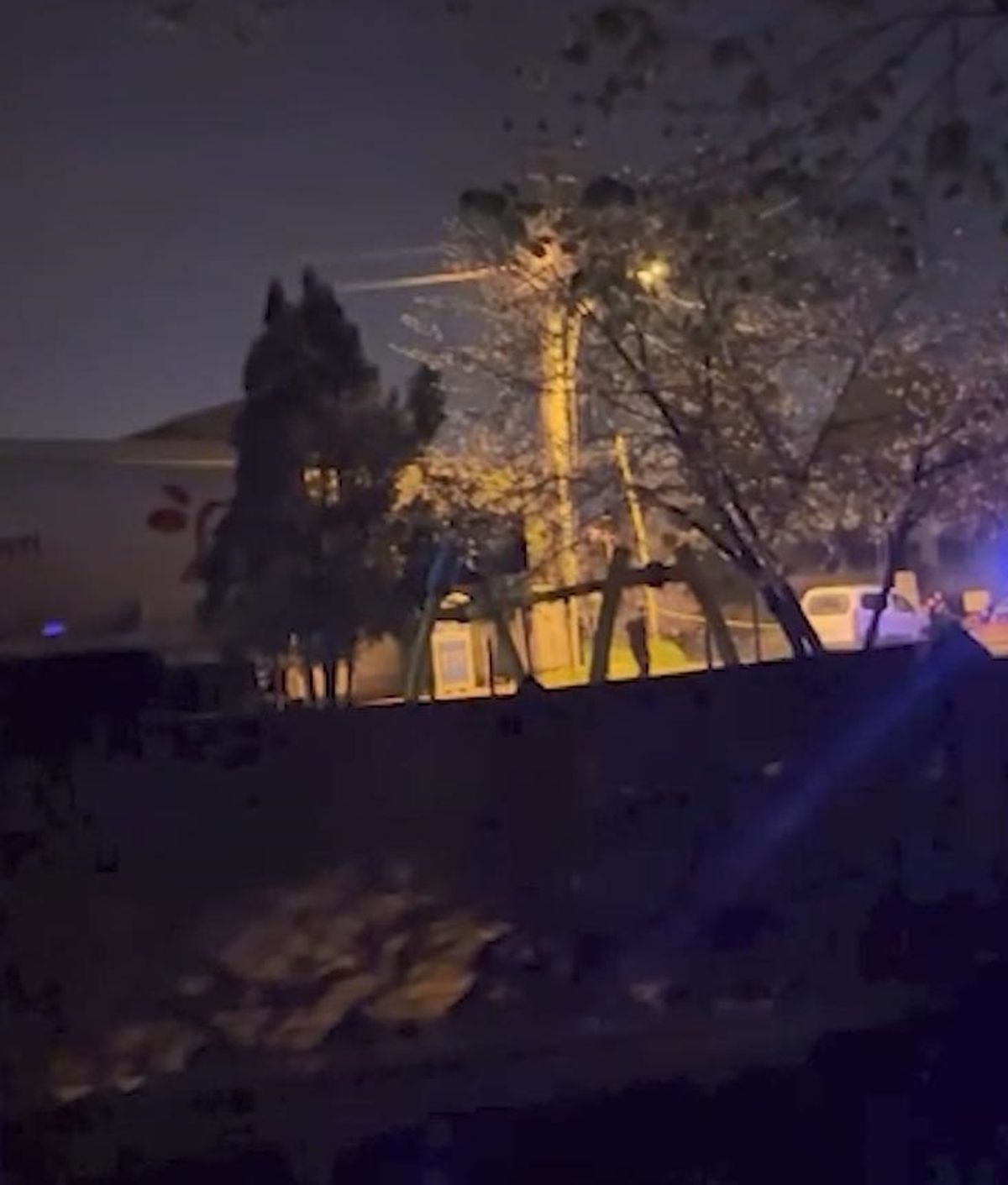 Sakarya\'da Aile İçindeki Şiddet: Polisle Çatışma