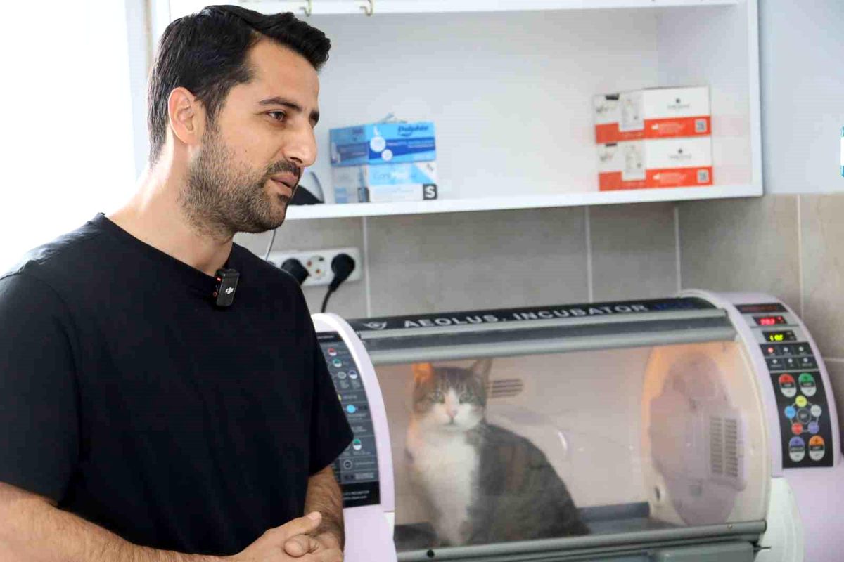 Kral ölümden döndü, zorlu ameliyat başarıyla tamamlandı