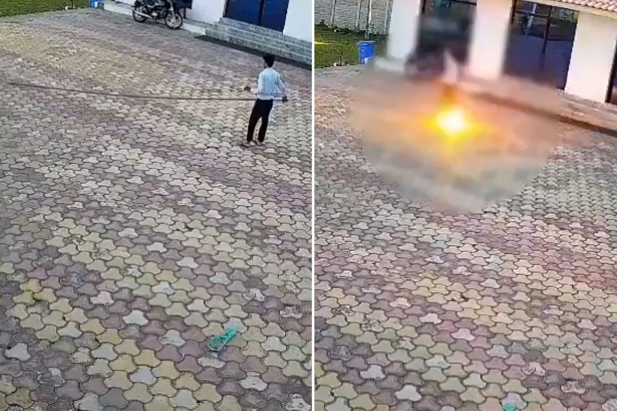 Maymunu kovmaya çalışırken canından oldu