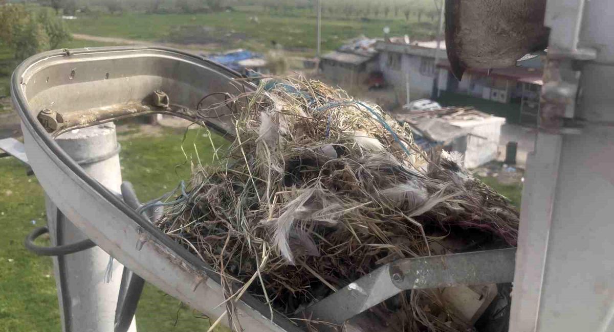 UEDAŞ\'tan Doğa Dostu Müdahale