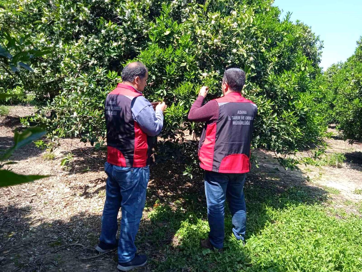 Kozan\'da Çevre Dostu Tarım Eğitimi