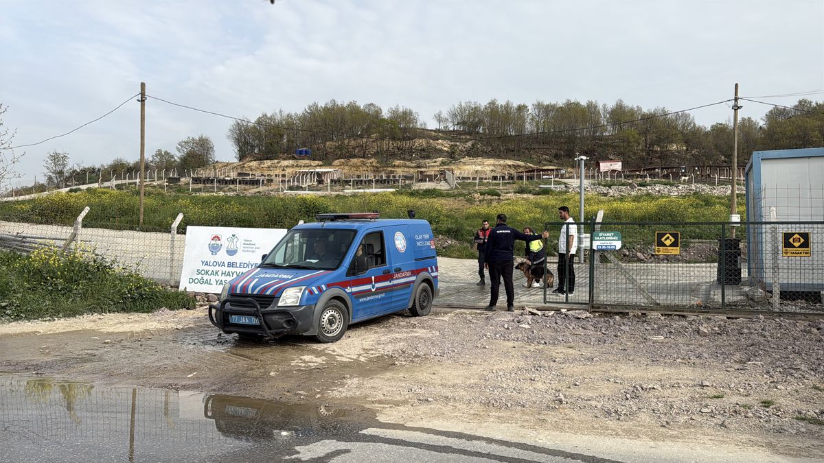 Yalova\'da Hayvan Ölüm İddiası Soruşturması