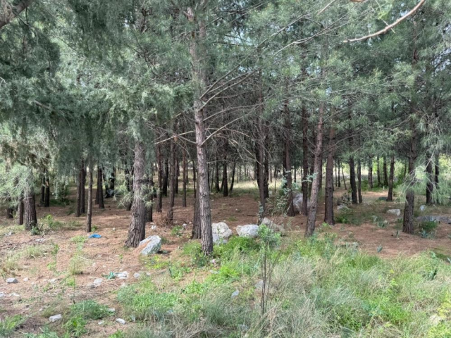 Anne ve oğul cinayetinde çarpıcı detay! Katil teşhis için morga bile gitmiş