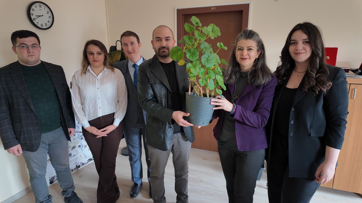 Bitkilerden Elektrik Üretimi