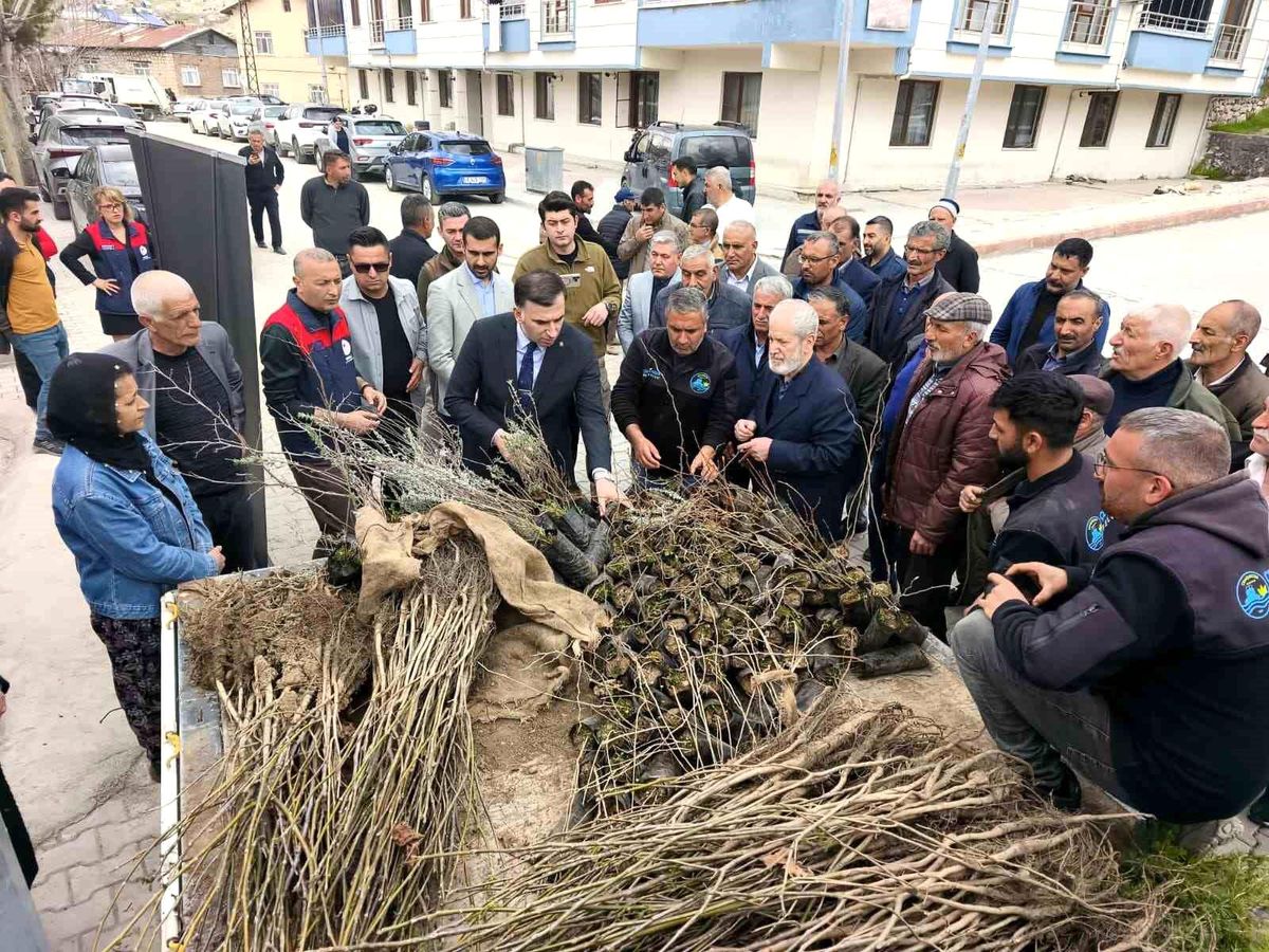 Çemişgezek\'te vatandaşlara ücretsiz fidan dağıtıldı
