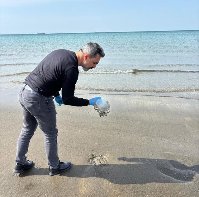Arsuz’da Denizanası Yoğunluğu Uyarısı
