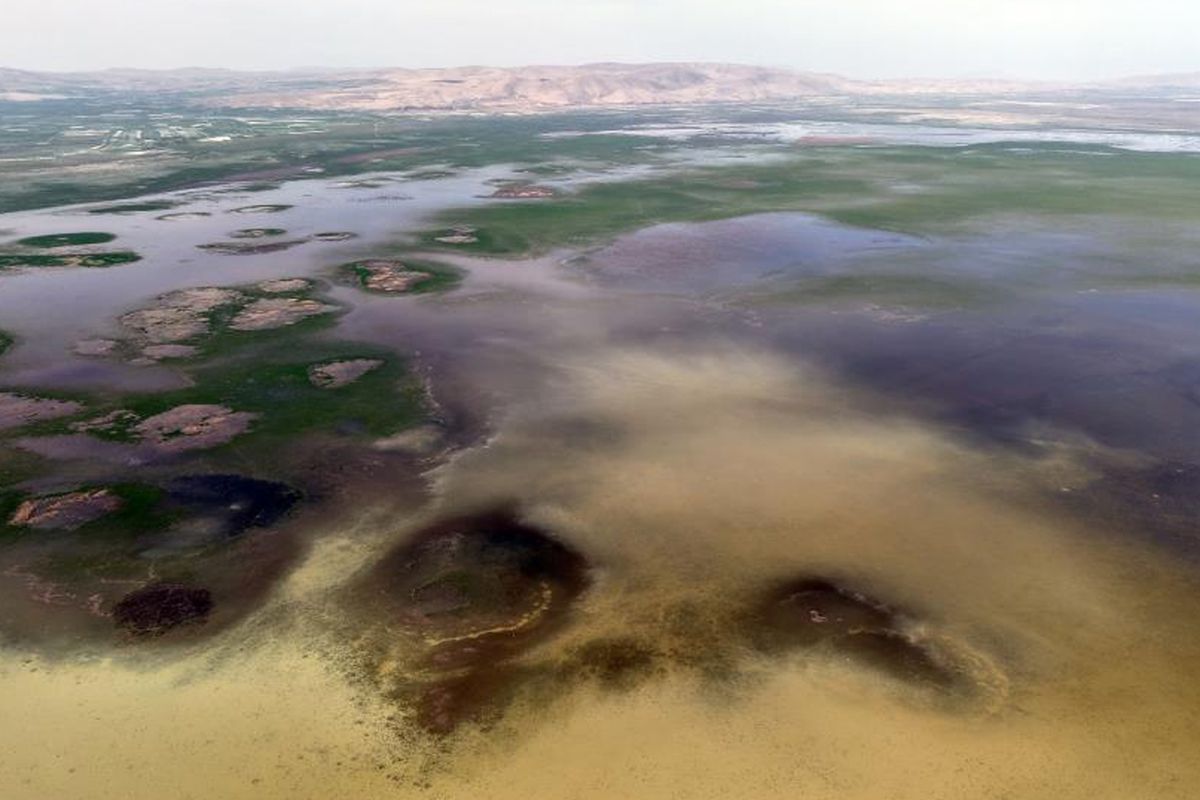 8 yıl sonra yüz güldüren görüntü