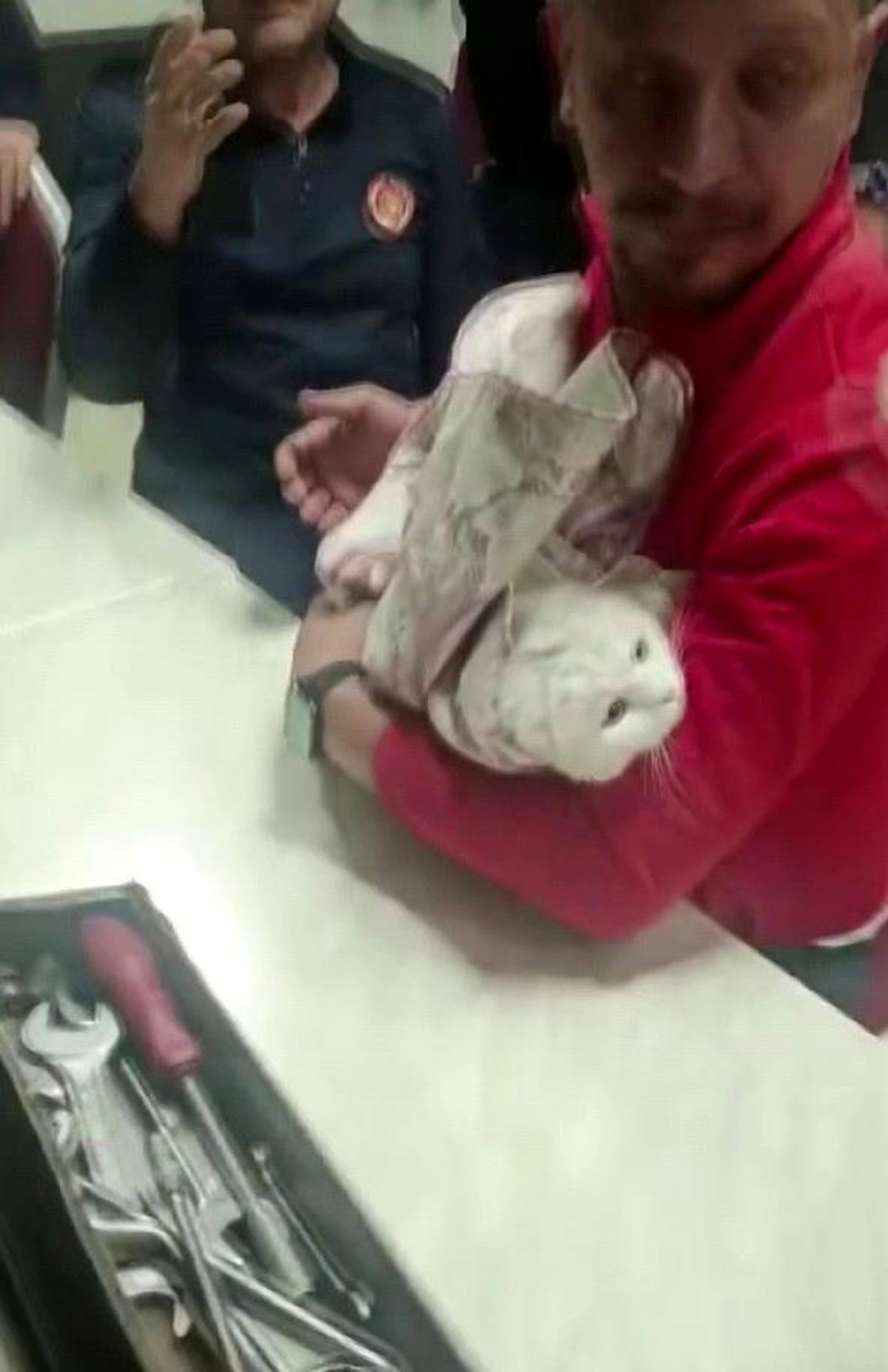 Kedi Giderde Sıkıştı, İtfaiye Kurtardı