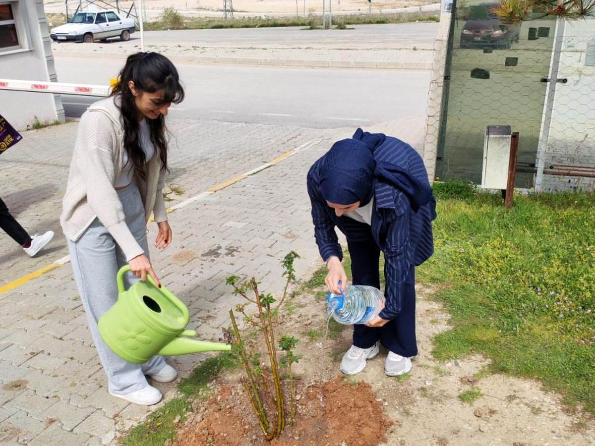 Dumlupınar Üniversitesi\'nde Gül Fidanı Dikimi