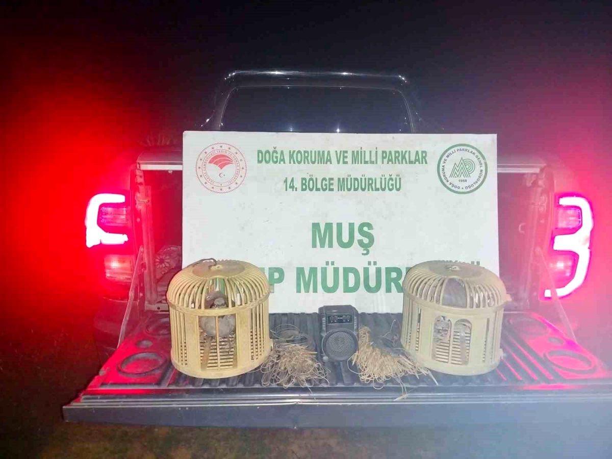 Keklik Avında Suçüstü: 65 Bin TL Ceza