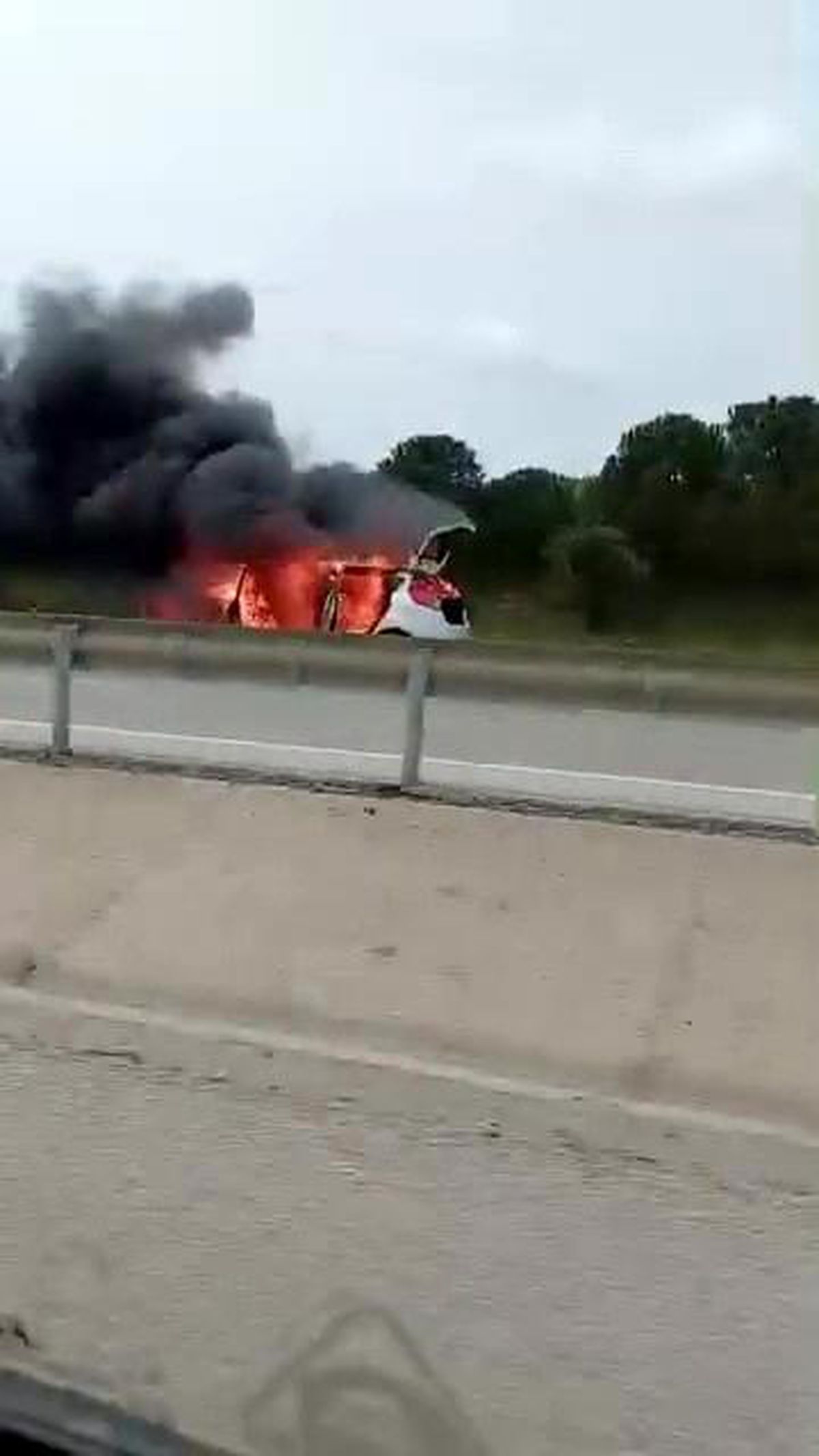 Bursa\'da Otomobil Yangını Paniğe Neden Oldu