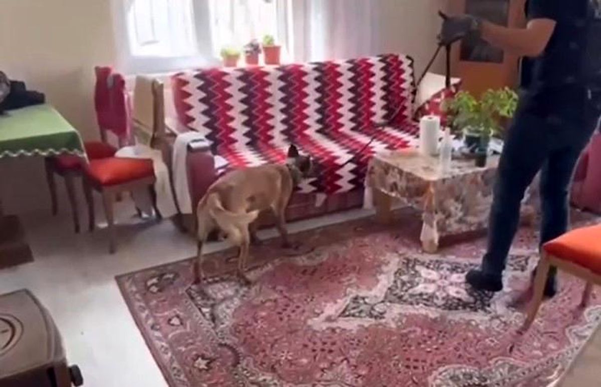 Kayseri\'de Silah ve Uyuşturucu Operasyonu