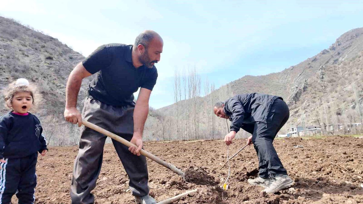 Şırnak\'ta Çiftçiye Devlet Desteği