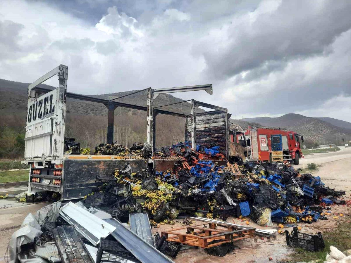 Tokat\'ta çilek yüklü kamyon yandı