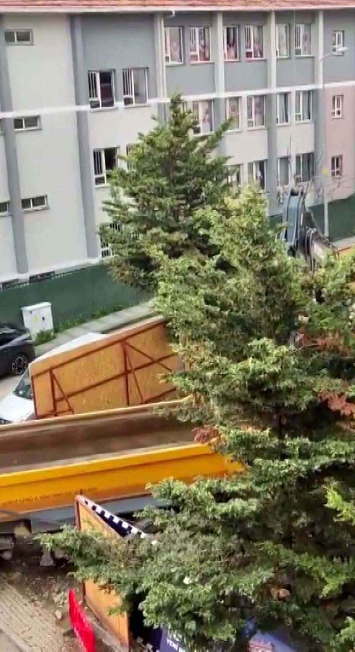 Üsküdar Belediyesi\'nin ruhsat verdiği inşaat alanında ağaçlar kesildi