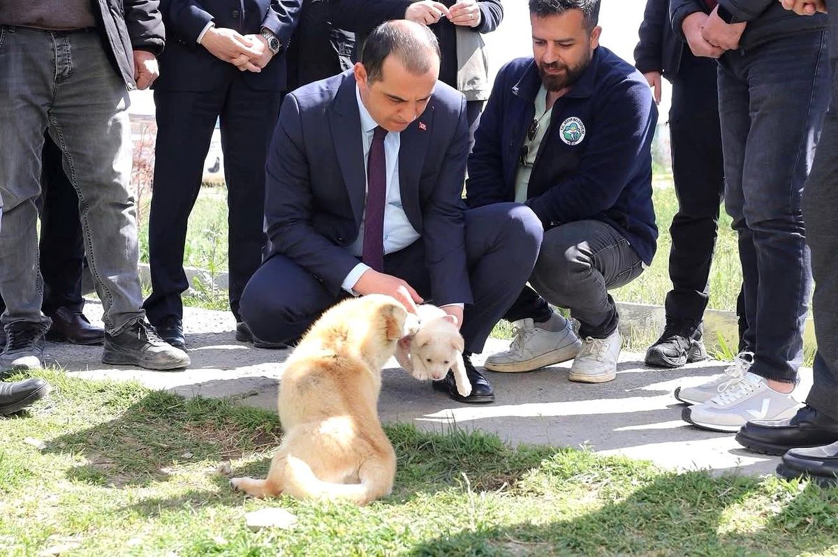 Vali Taşolar, Iğdır Geçici Hayvan Bakımevi\'ni ziyaret etti