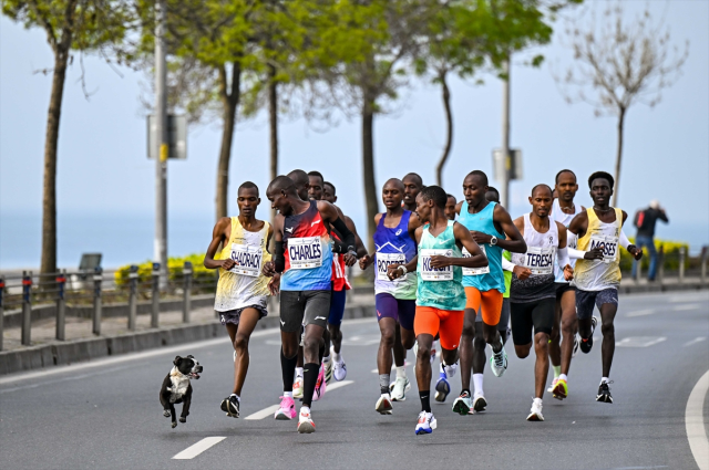 21. İstanbul Yarı Maratonu'nu kazananlar belli oldu! Kenyalı ikizler zirvede