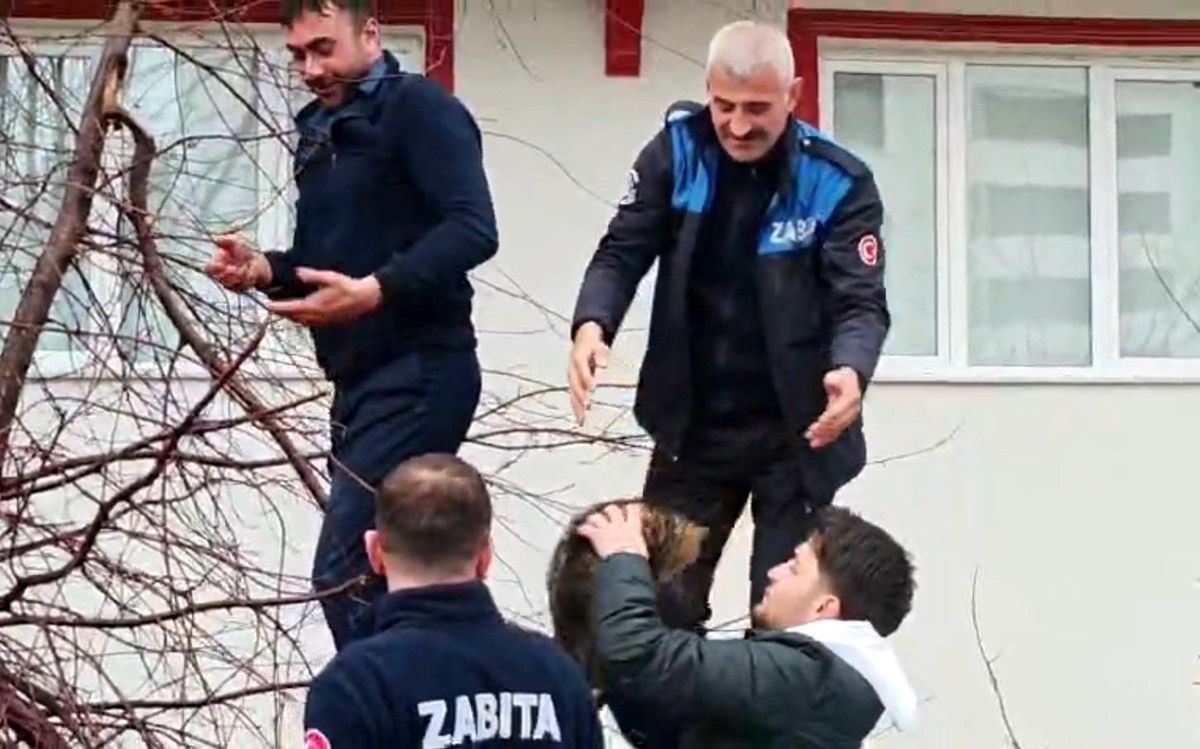Ağaçta mahsur kalan kediye zabıtadan kurtarma operasyonu