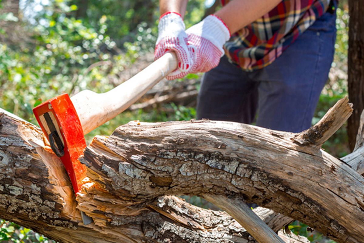 Alanya\'da kestiği ağacın altında kalan kişi öldü