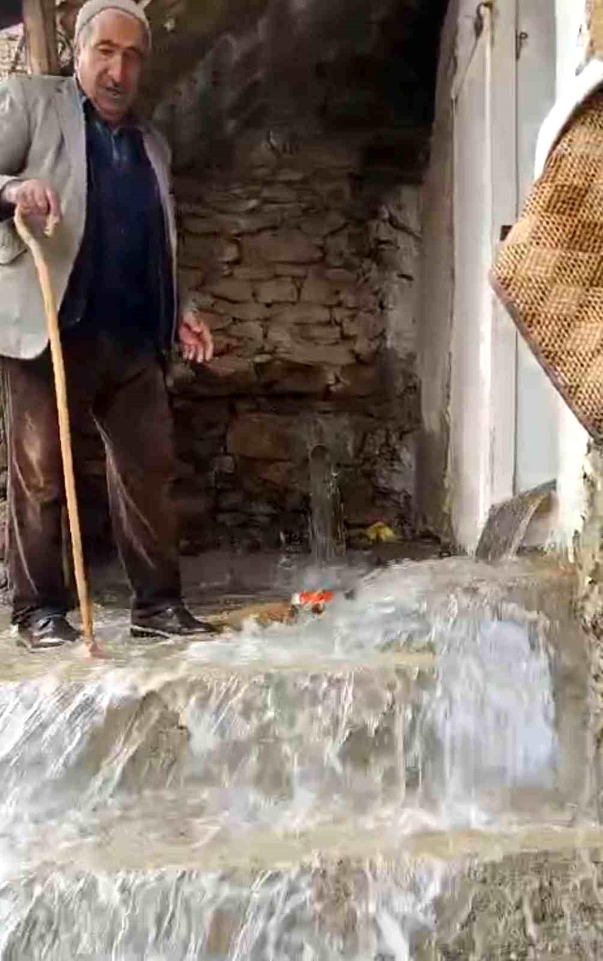 Van\'da İki Farklı İklim