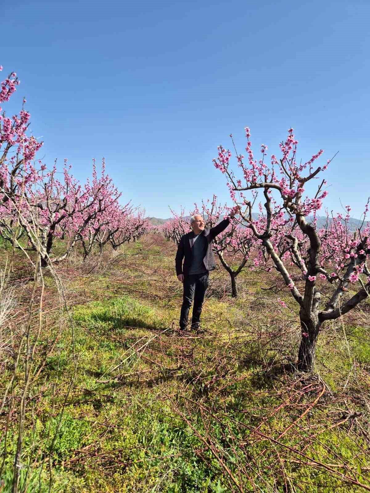 Elazığ\'da Meyve Üretimi İçin Entegre Mücadele