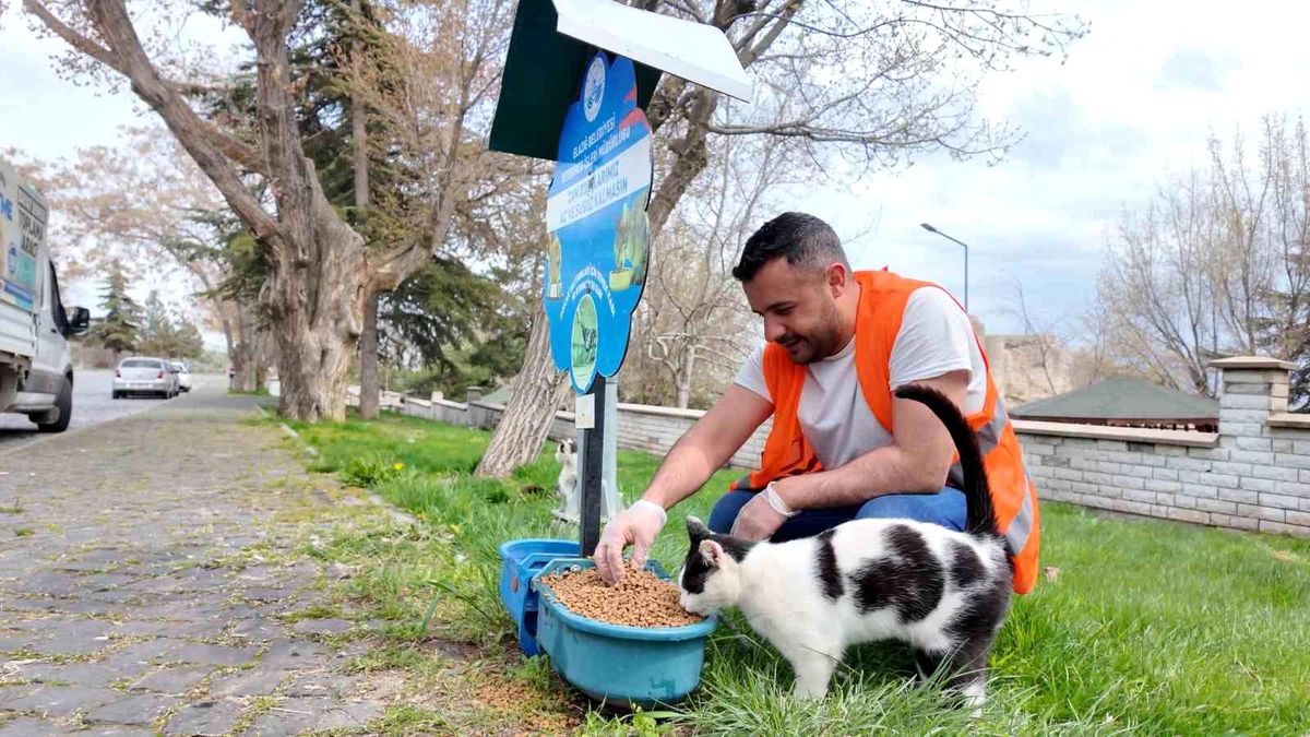 Elazığ\'da sokak hayvanlarına mama desteği sürüyor