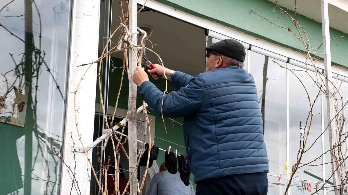 Yozgat\'ta Üzüm Üreticileri Umutlu