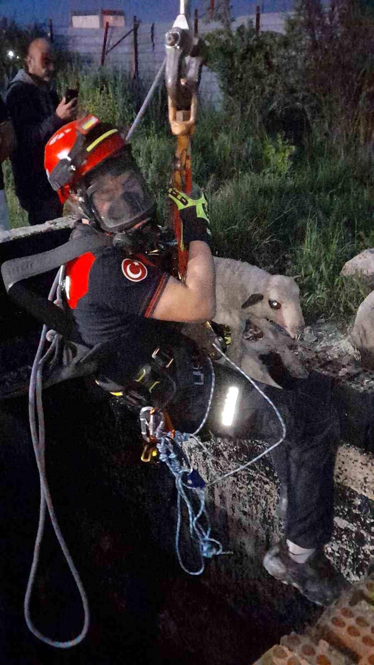 İzmir\'de kuyuya düşen kuzuya itfaiyeden nefes kesen kurtarma