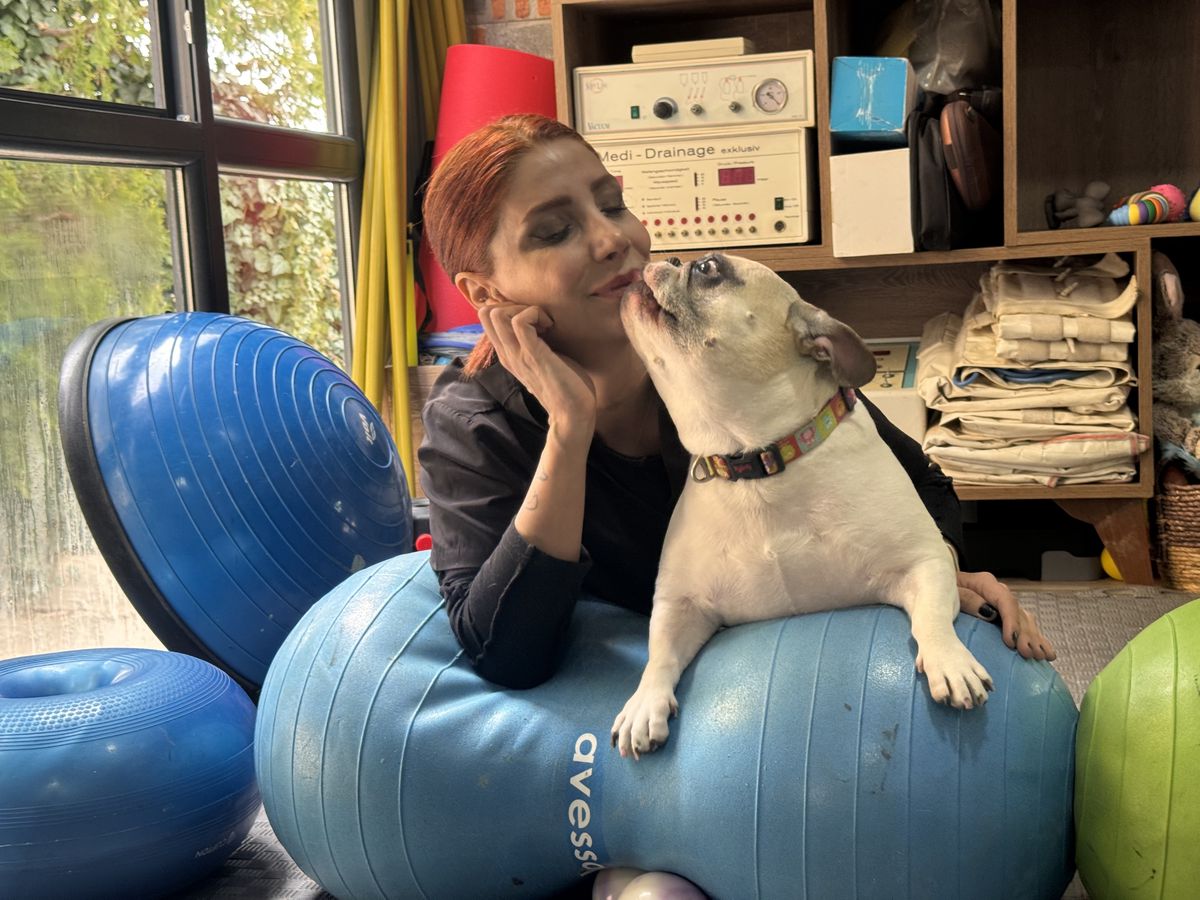 Ori\'nin Zayıflama Mücadelesi