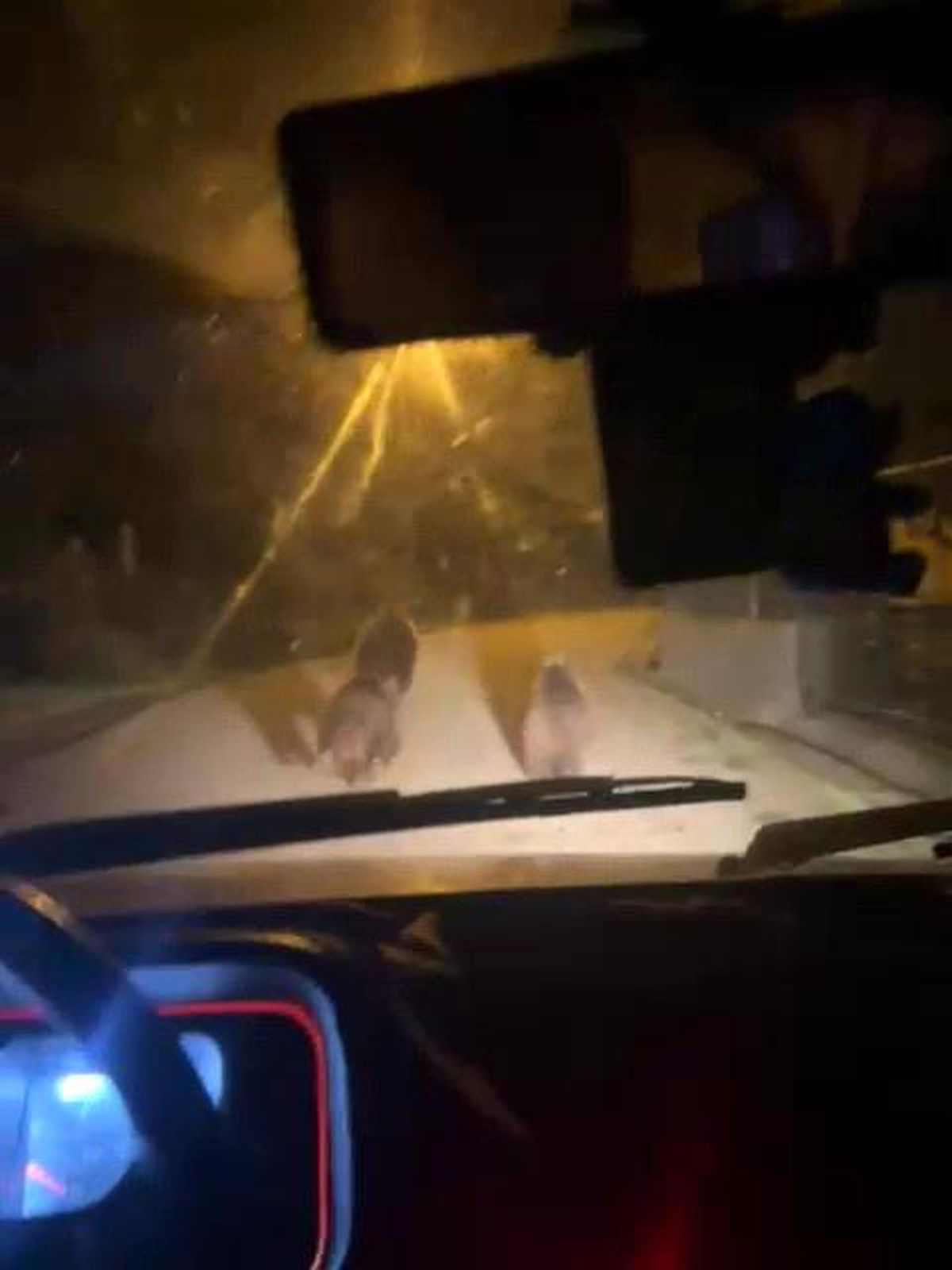 Zonguldak\'ta Ayılar Köye İndi