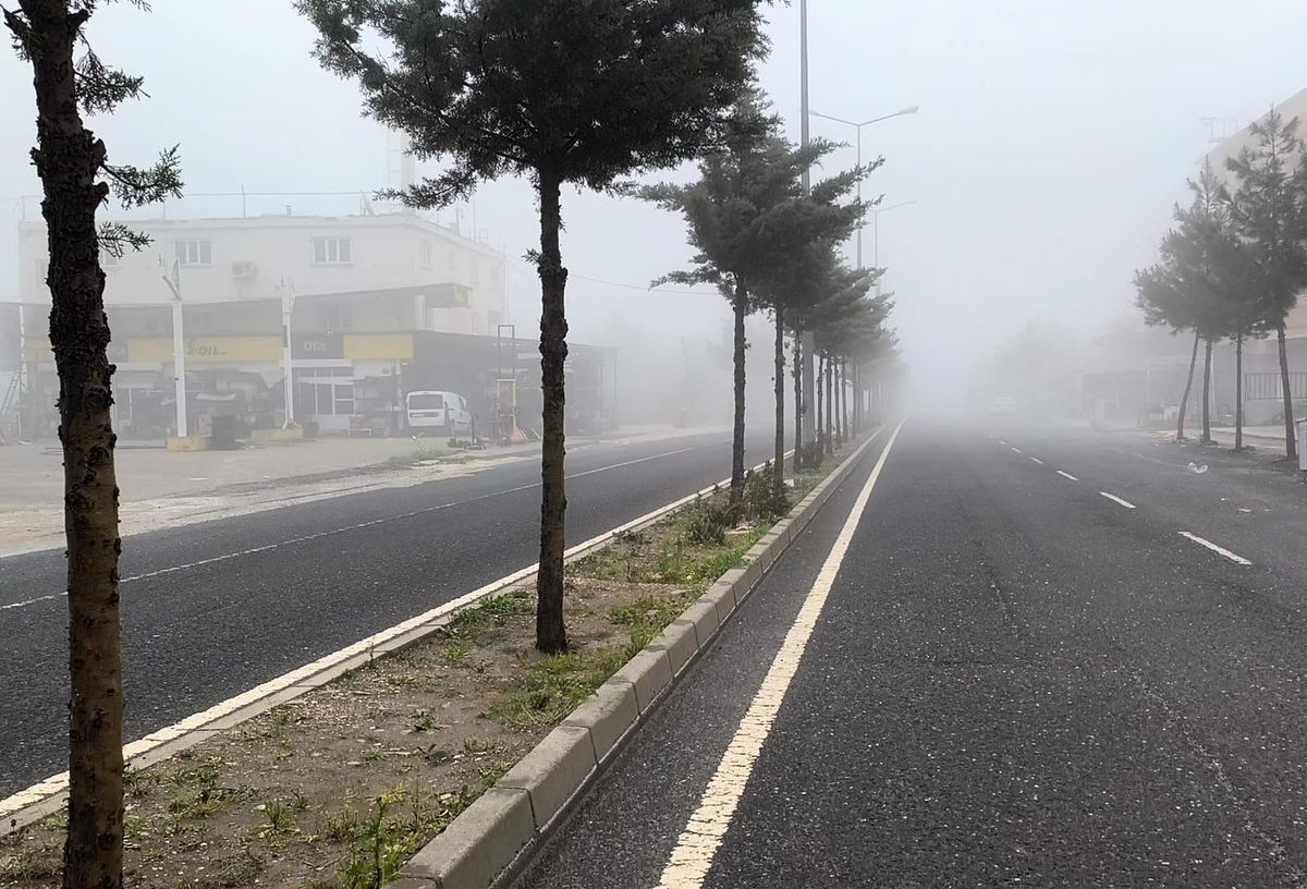 Dicle\'de Etkili Sis, Trafiği Olumsuz Etkiledi