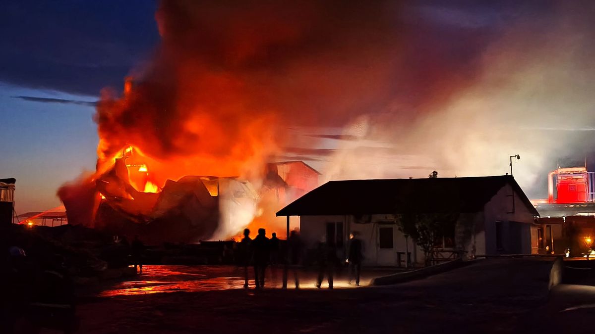 Edirne\'de kereste fabrikasında yangın