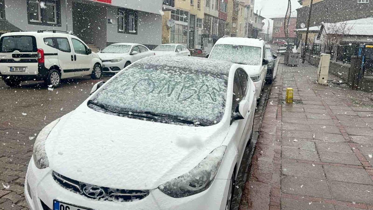 Bingöl\'de Nisan Karı Şaşkınlık Yarattı