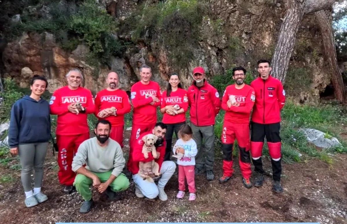 Yavru Köpekler Yarıkta Kurtarıldı