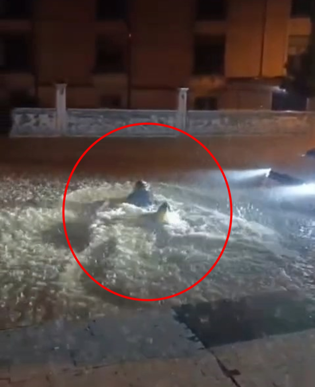 Mardin'de kuvvetli sağanak sonucu cadde ve sokaklar sular altında kaldı