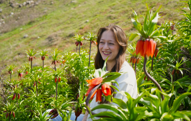 Muş'ta ters laleler açtı