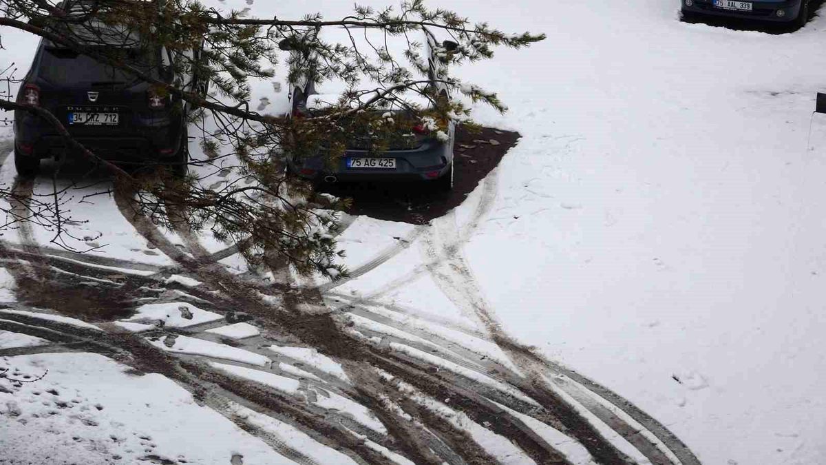 Ardahan\'da Nisan\'da Kar Yağışı