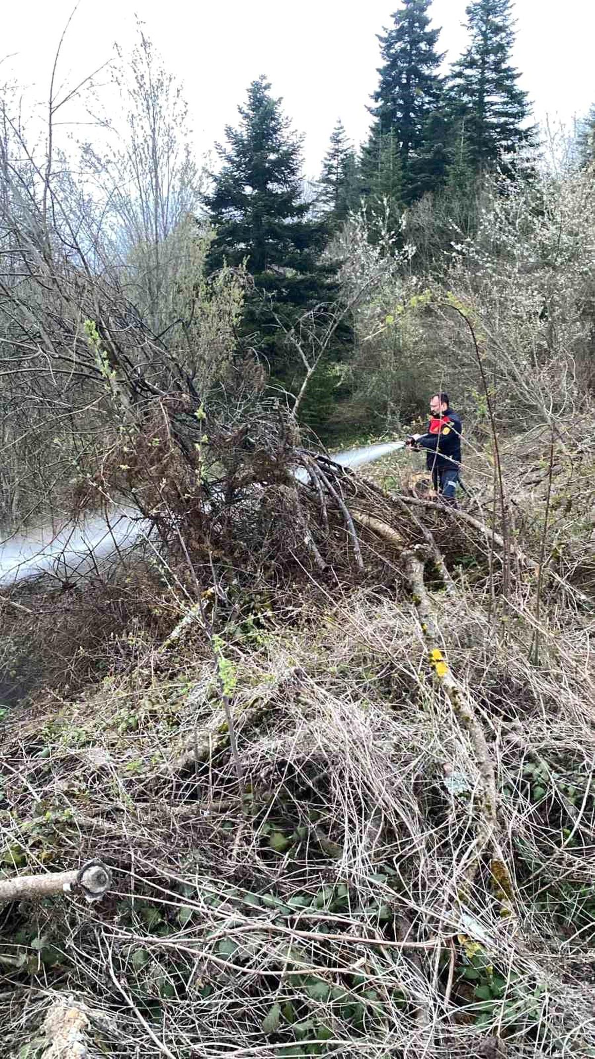 Ormanlık alanda çıkan yangın büyümeden söndürüldü